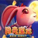 Moon Rabbit